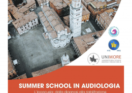 Audiology summer school