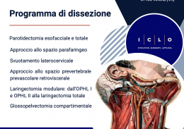 corso spec collo 2026